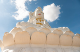 洛克王国神圣青龙(洛克王国神圣青龙降临 大家快来抢)